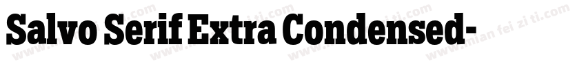 Salvo Serif Extra Condensed字体转换